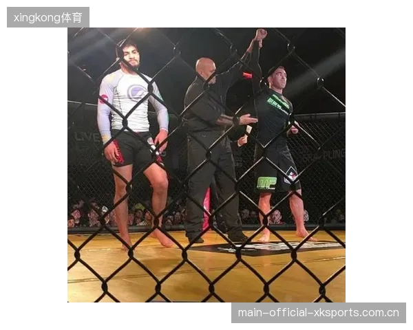 UFC地面砸拳震撼全网：极致格斗的巅峰瞬间